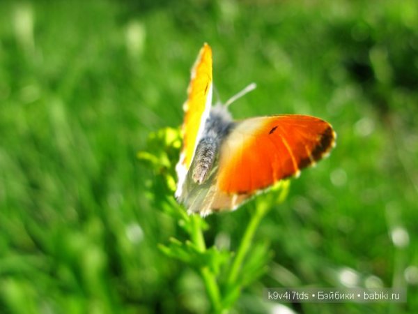 Пусть бы лето не кончалось