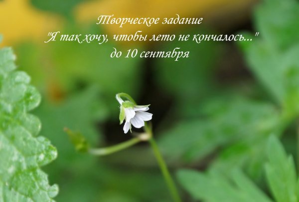 Чтобы лето не кончалось