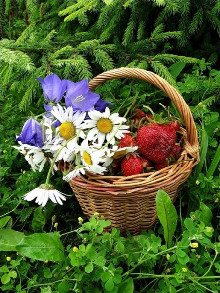 Поздравления с уходящим летом