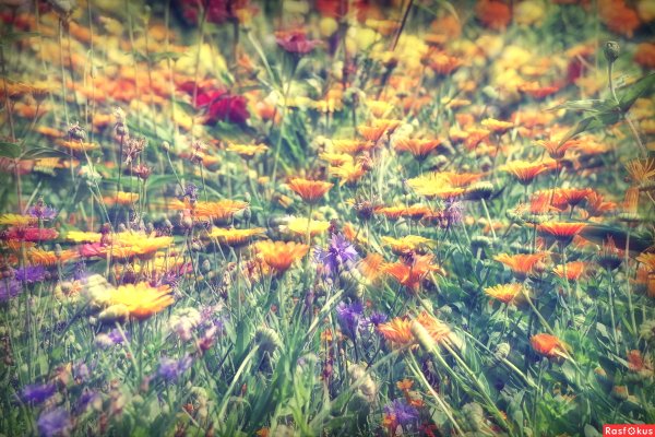 Счастливая девушка