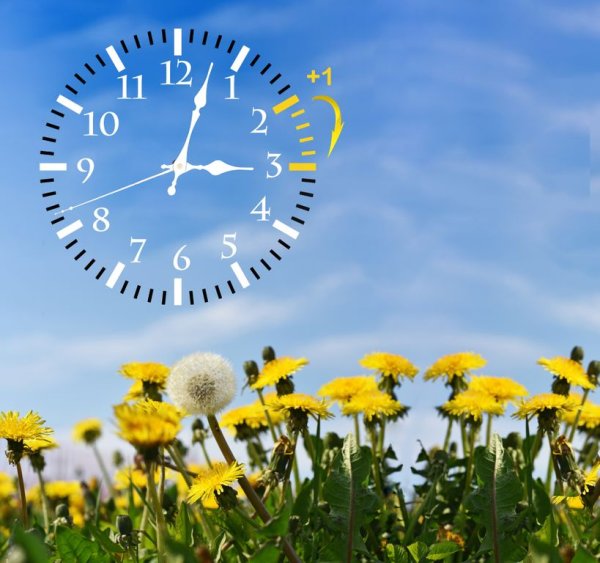 Лето это время