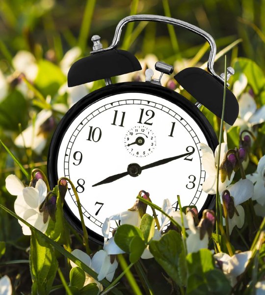 Без пяти минут лето