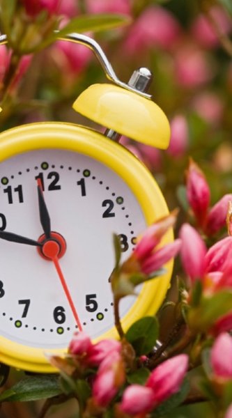 Часы красивые летние