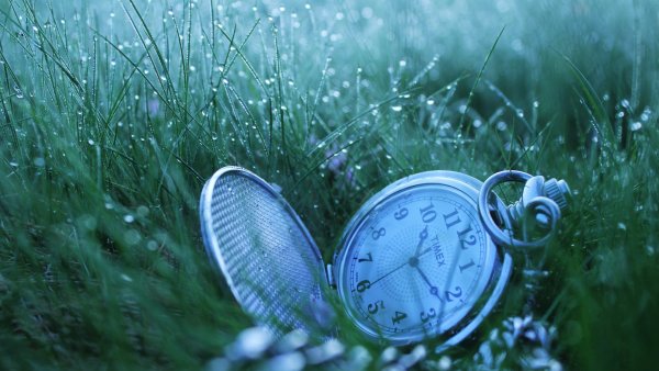 Часы на земле