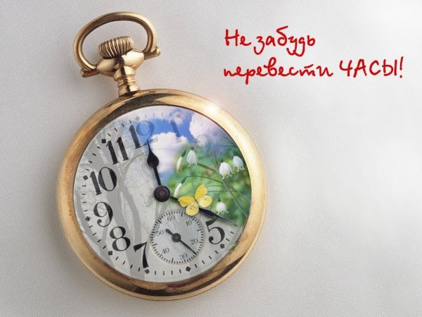 Утро, день, вечер, ночь