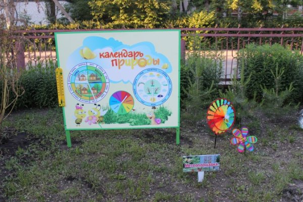 Лето в детском саду