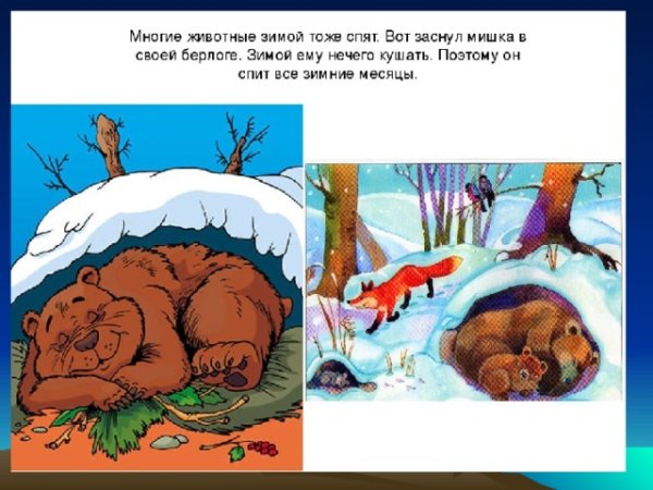 Медведь зимой для детей