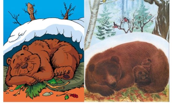 Пробуждение медведя