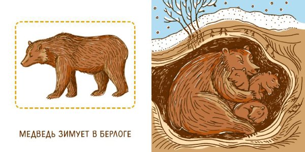 Медведь живет в берлоге