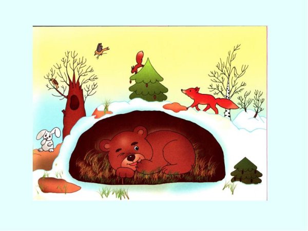 Картина медведь в берлоге для детей