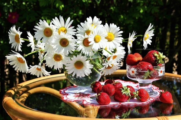 Прекрасного летнего дня