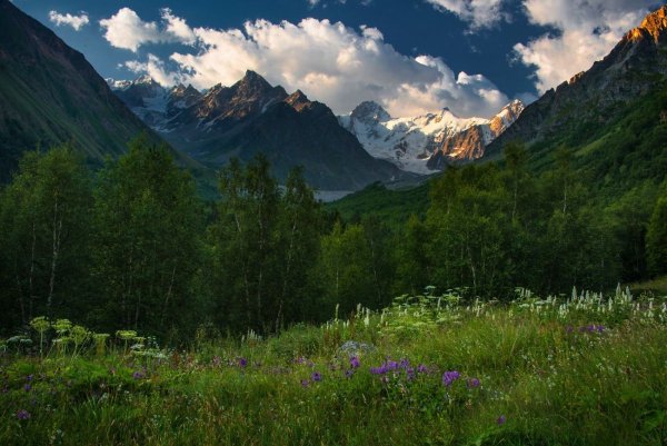 Тебердинский заповедник леса