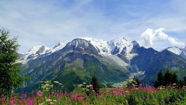 Альпийские Луга Швейцария