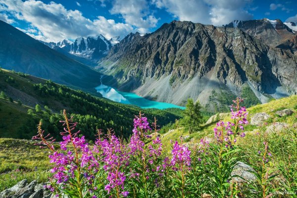Горно Алтайск природа