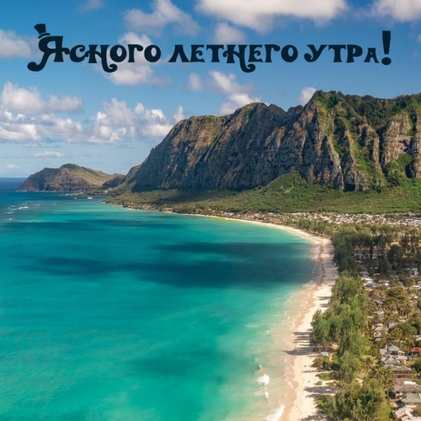 Доброе утро овчарка