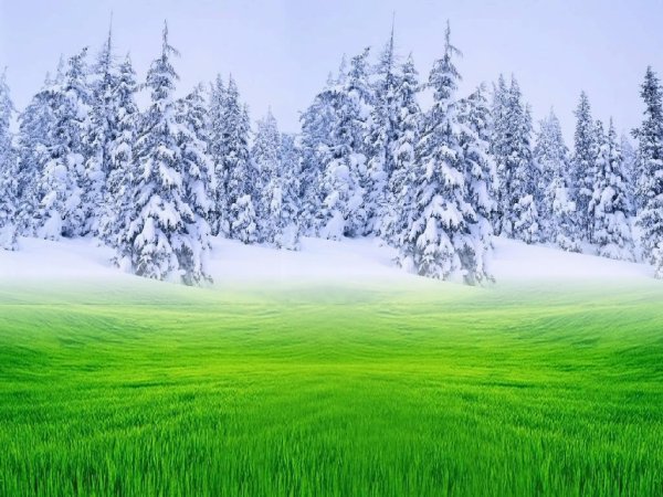 Сезонность лето