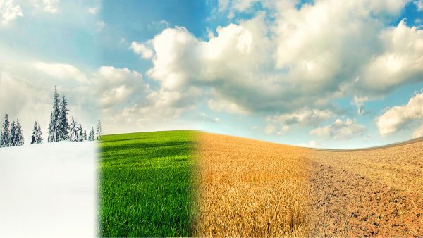 Пейзаж времена года