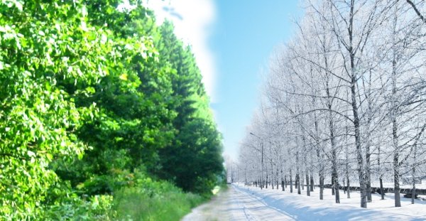 Сезоны года