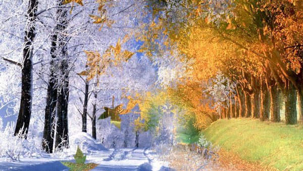 Пейзаж в Разное время года