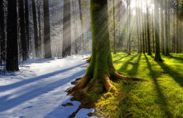 Seasons для детей