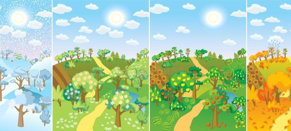 Дерево сезоны года