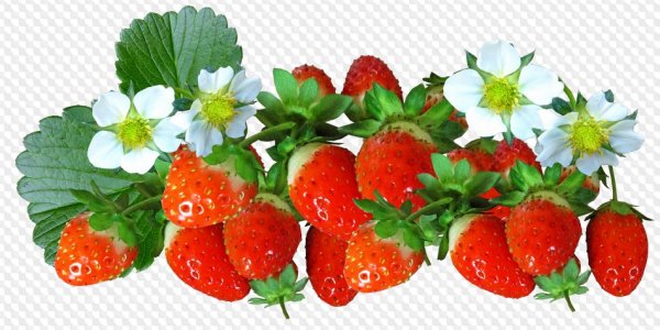 Клипарт дети летом на прозрачном фоне