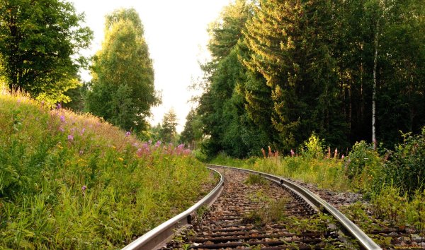 Одноколейка железная дорога лес Сергиев Посад