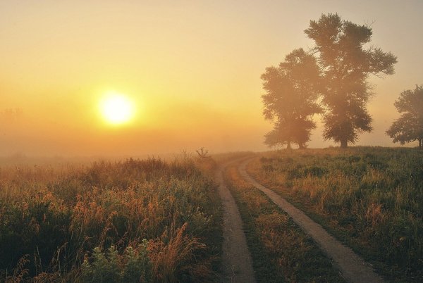 Раннее утро дорога