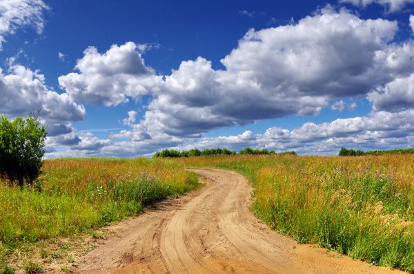 Природа дорога Проселочная