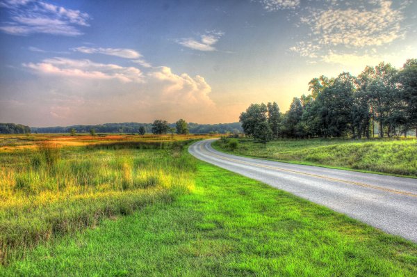 Природный пейзаж с дорогой