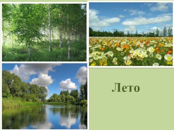 Сезонные изменения лето