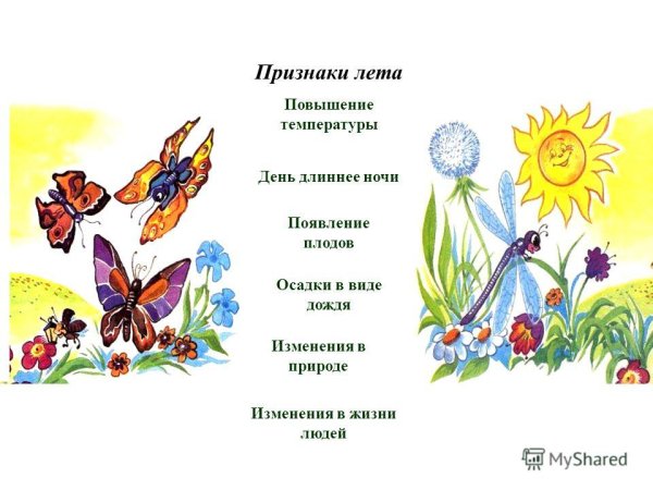 Сезонные изменения в природе