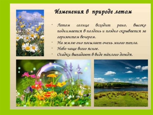 Летниезменения в природе