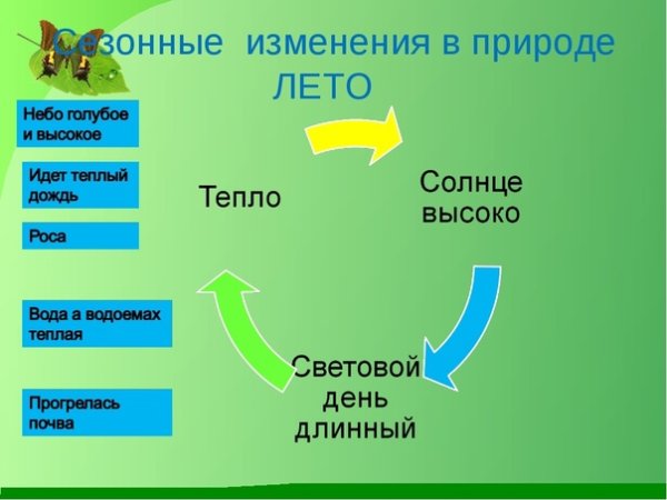 Времена года рисунок