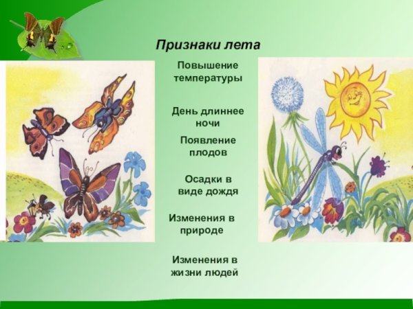 Дерево в разные времена года