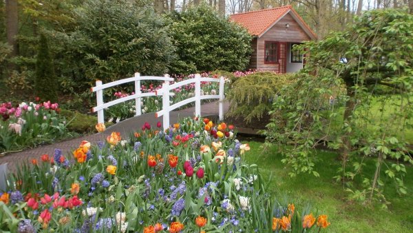 Весна в городе аллея парк сквер сад