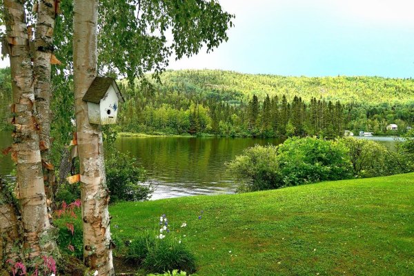 Красивые речные пейзажи