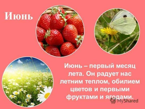 Летние впечатления