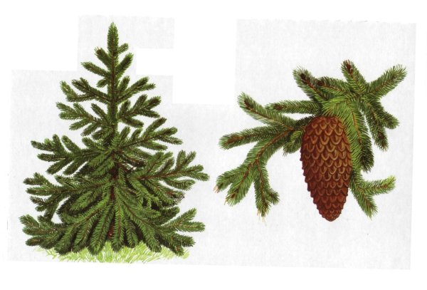 Материал для фланелеграфа