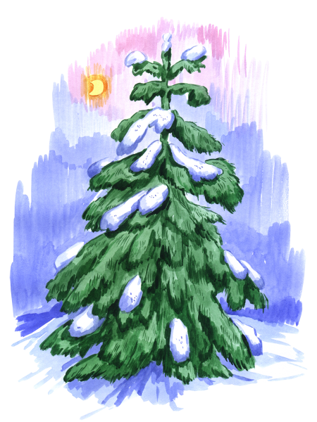 Дерево ель для детей