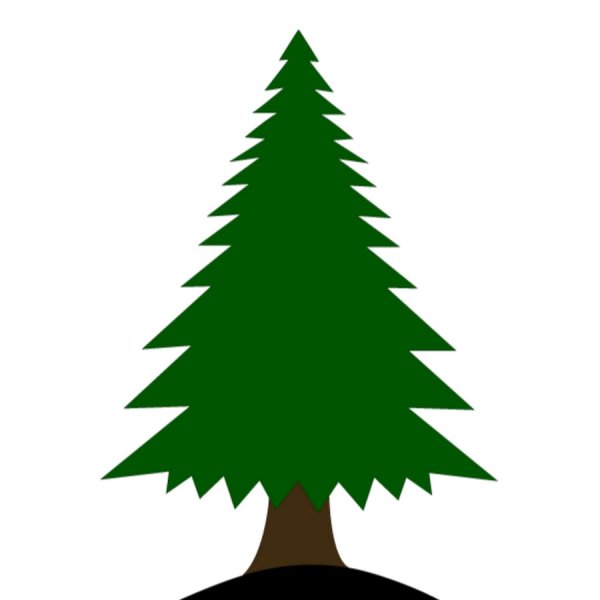 Елка дерево