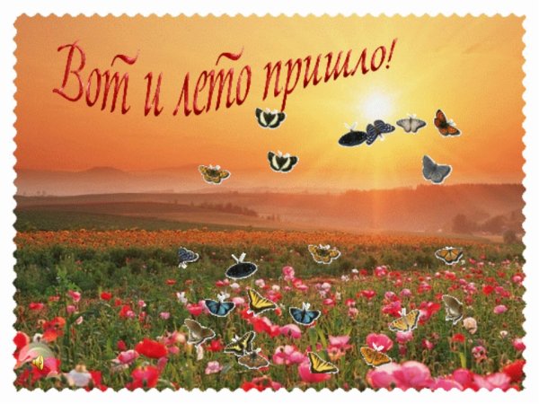 Животные в ромашках