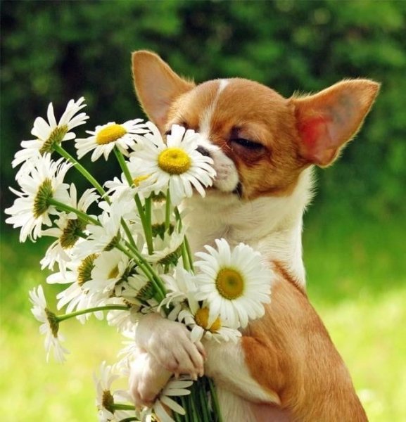 Открытки с летом