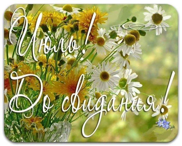 Последние летние деньки