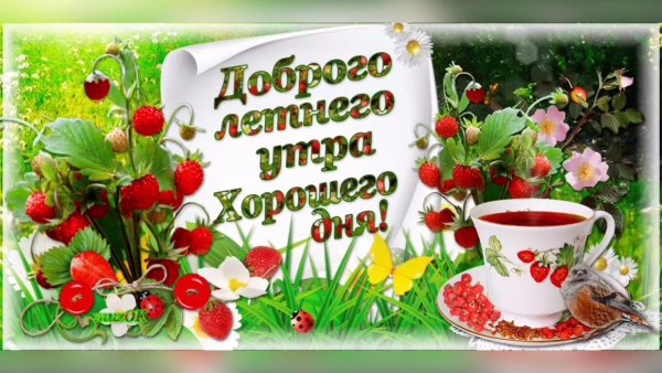 Пожелания солнечного лета