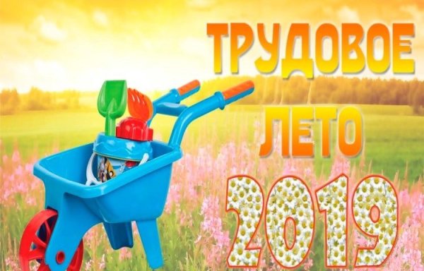 Трудовое лето 2021