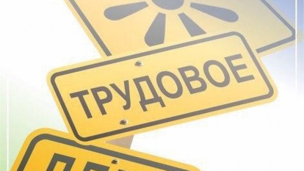 Трудовое лето эмблема
