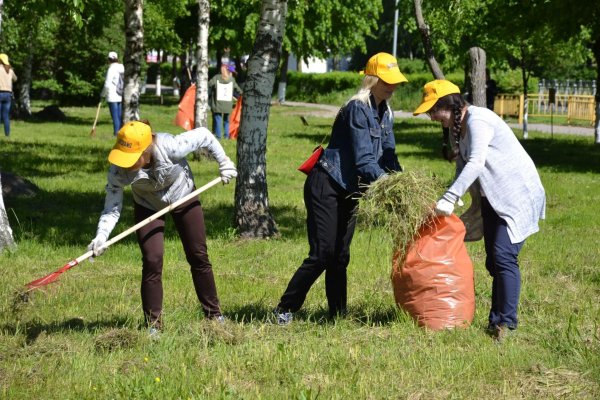 Трудовой десант