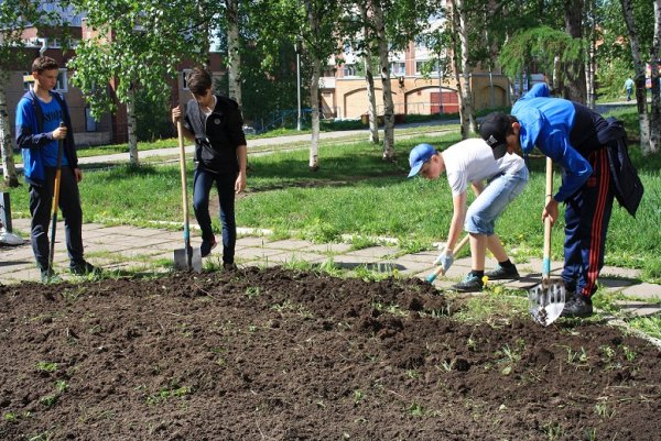 Рисование субботник