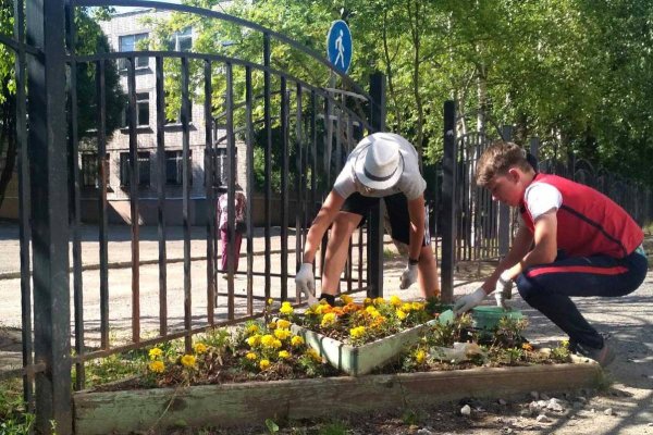 Трудовое лето для подростков